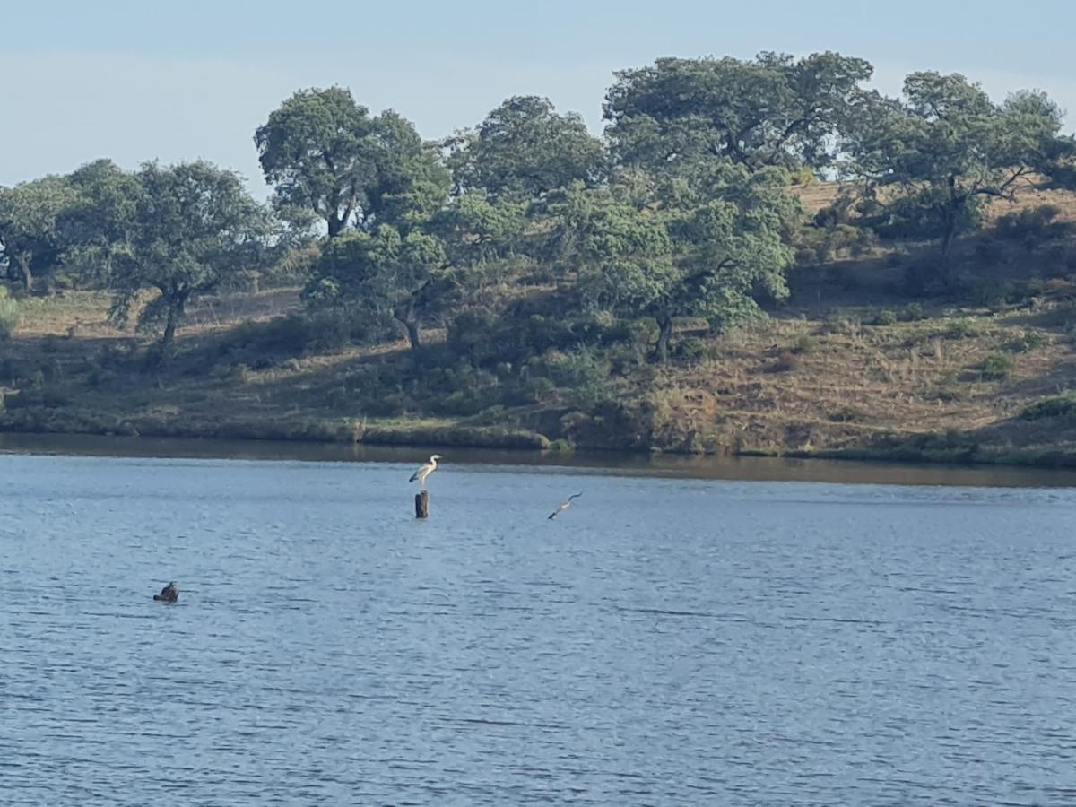 Alojamiento Rural Finca Barral El Garrobo Eksteriør billede
