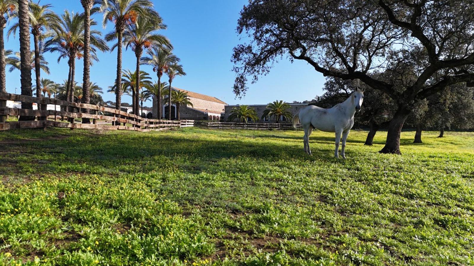 Alojamiento Rural Finca Barral El Garrobo Eksteriør billede
