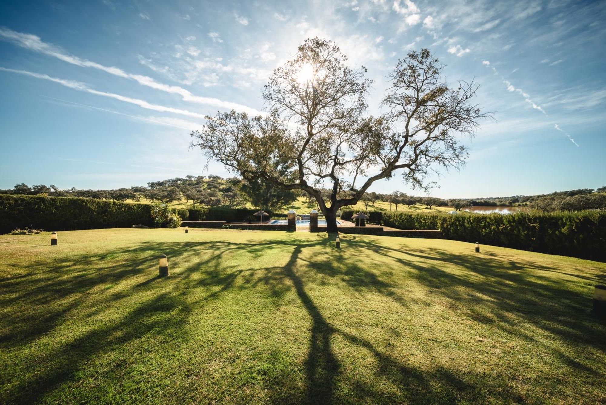 Alojamiento Rural Finca Barral El Garrobo Eksteriør billede