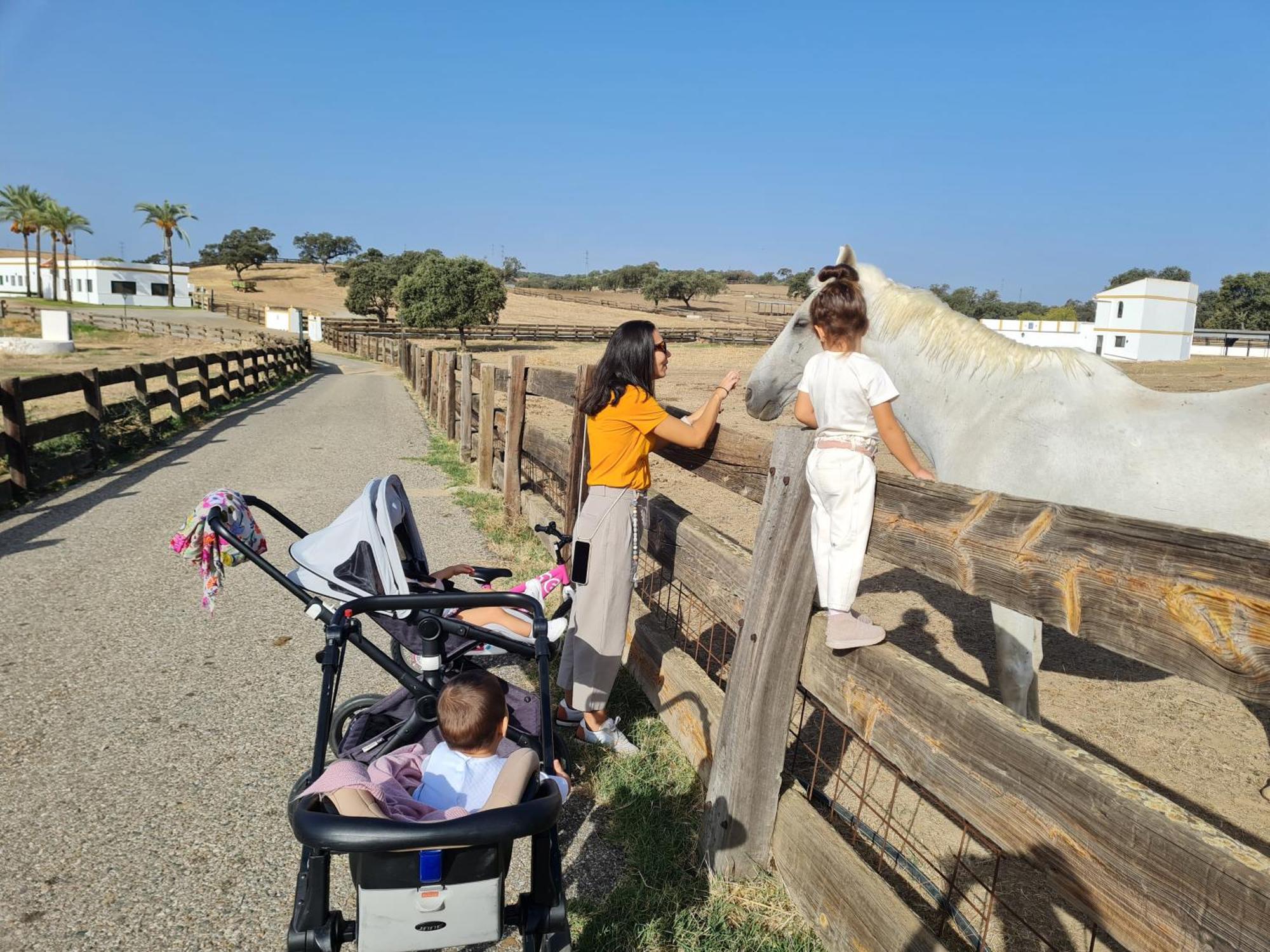 Alojamiento Rural Finca Barral El Garrobo Eksteriør billede