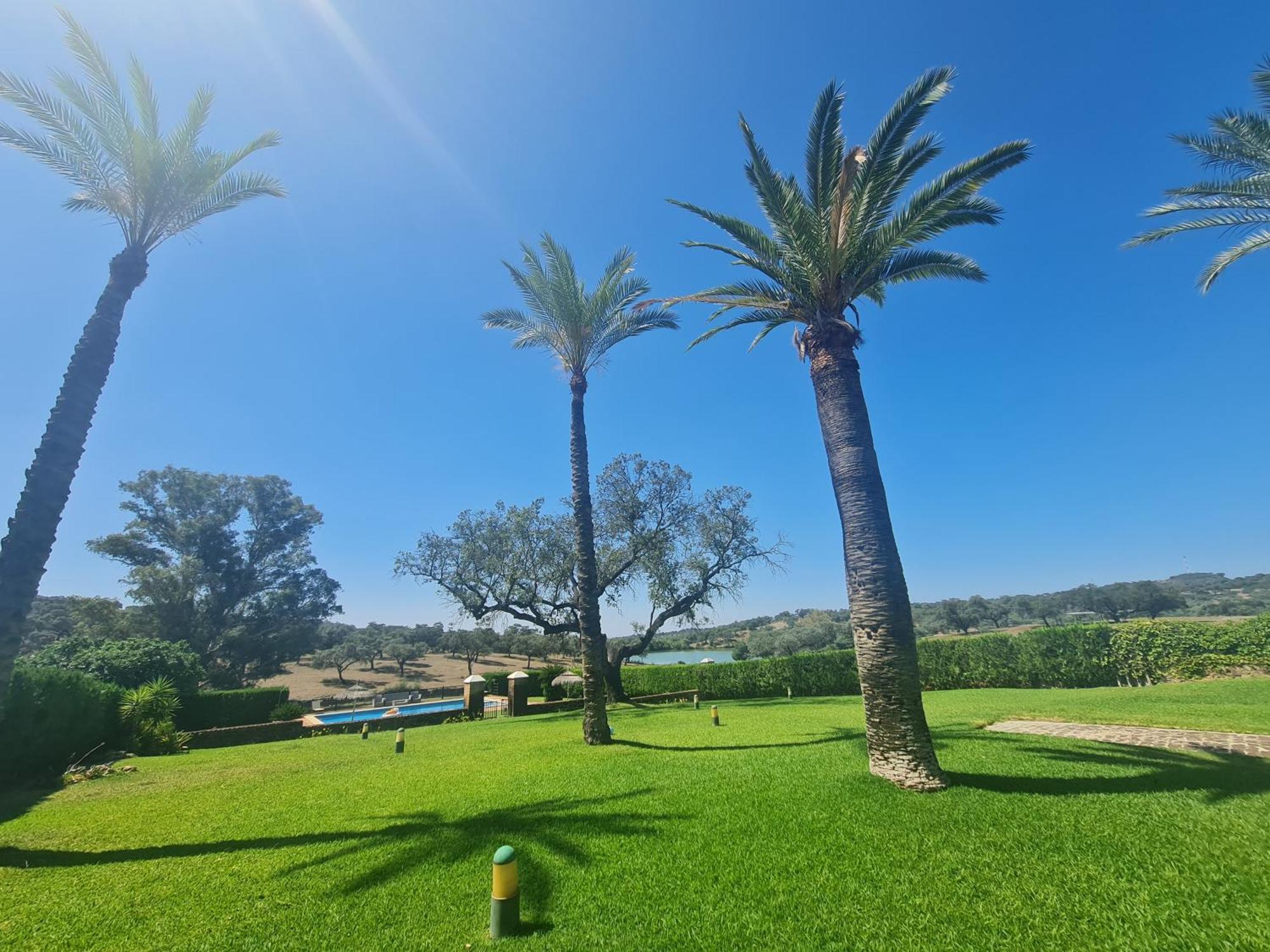 Alojamiento Rural Finca Barral El Garrobo Eksteriør billede