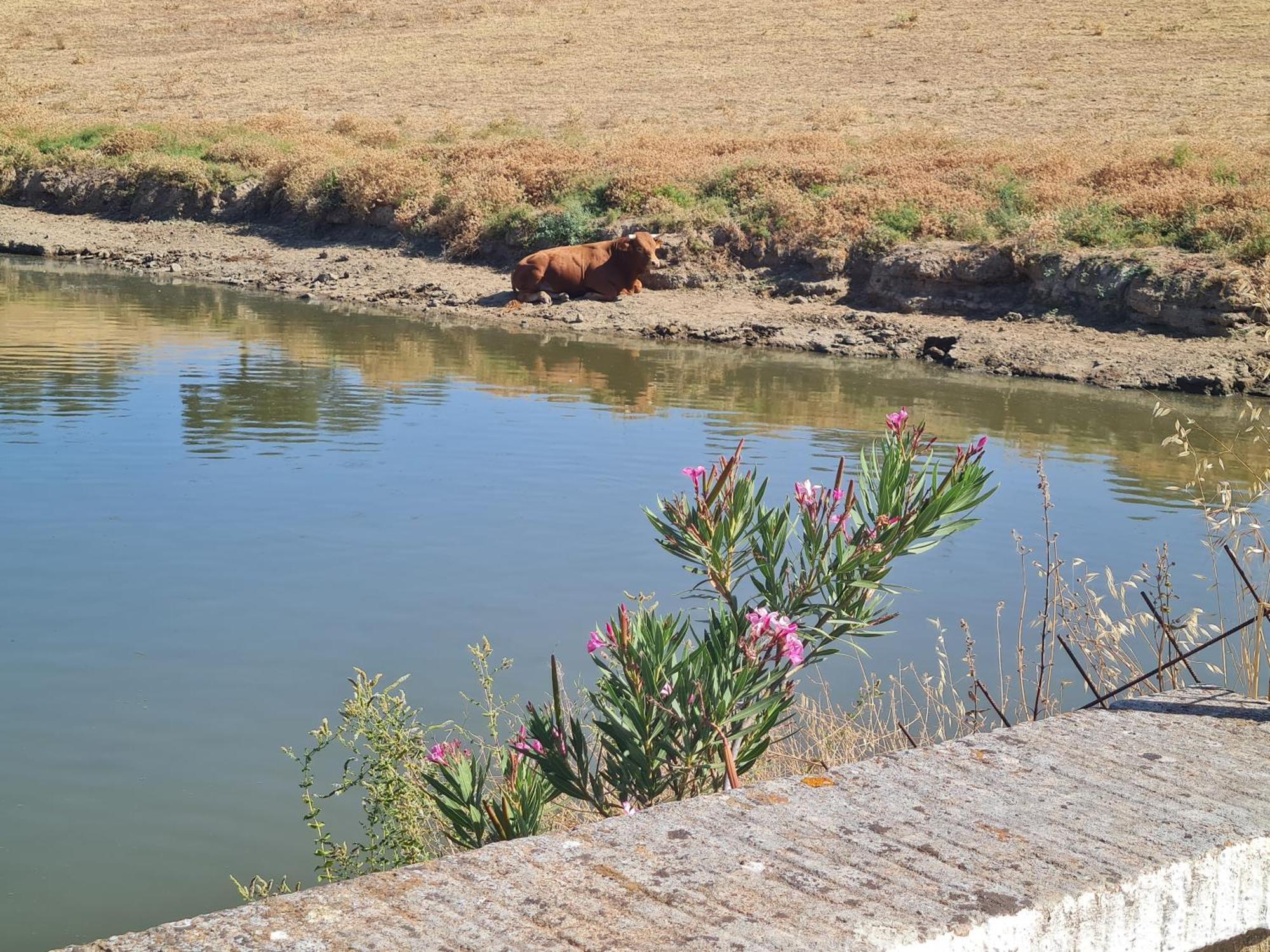 Alojamiento Rural Finca Barral El Garrobo Eksteriør billede