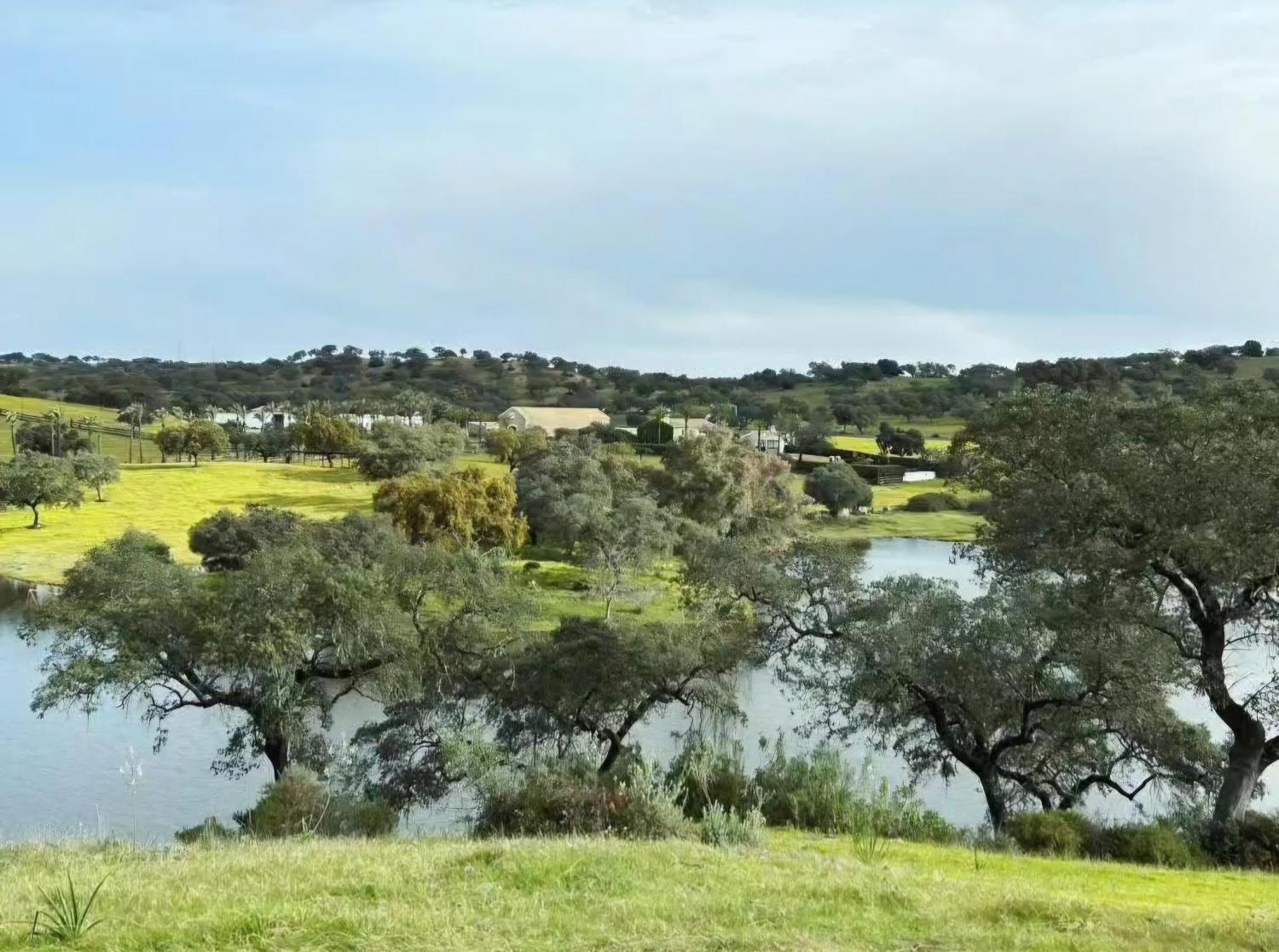 Alojamiento Rural Finca Barral El Garrobo Eksteriør billede